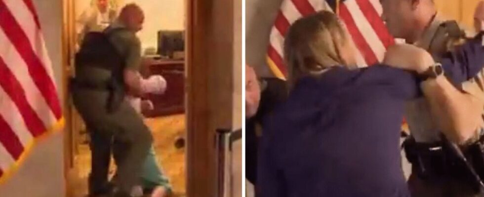 Capitol Police ARREST Top Democrat — She SCREAMS Hysterically as Police…