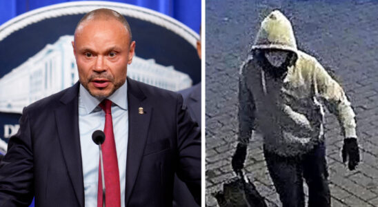 FBI Deputy Director Dan Bongino Shares Chilling Evidence About…