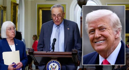 CHAOS IN DC: United States Senate Votes 51-44 on Controv…