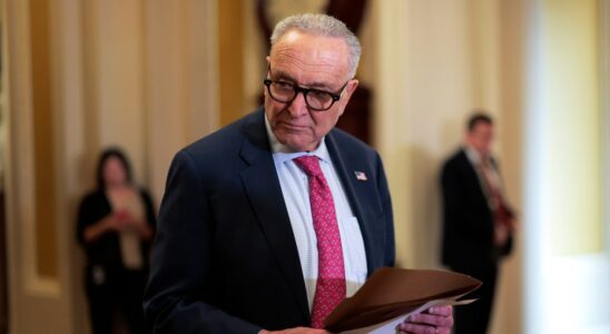 Schumer’s Target List Gets Leaked – His 2026 Midterm Plan…
