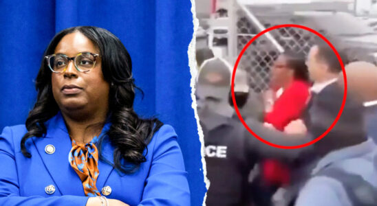 House Democrat Charged With Striking ICE Officer in New Jers… House Democrat Charged With Striking ICE Officer in New Jers…