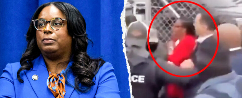 House Democrat Charged With Striking ICE Officer in New Jers…
