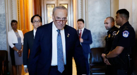 Minority Leader Chuck Schumer Backstabbed by His Own Colleagues a…