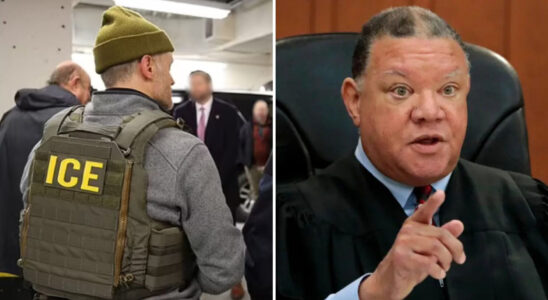 ICE Agents Execute Dramatic Arrest Of Illegal Immigrant…