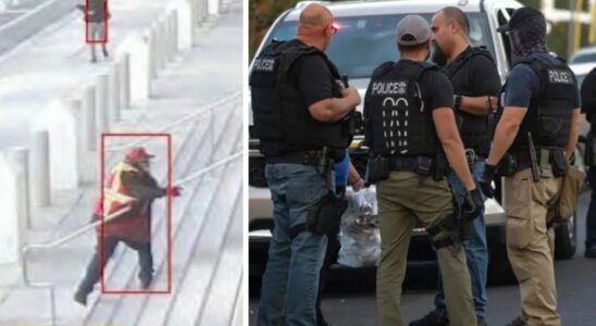 Man Throws Molotov Cocktails at ICE Agents — W…