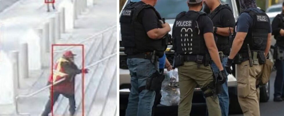 Man Throws Molotov Cocktails at ICE Agents — W…