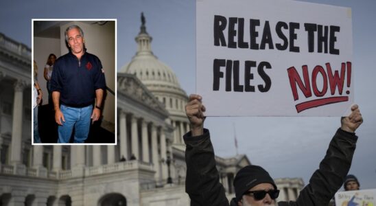 ‘I Hereby Order…’ – Judge’s Latest Epstein Files Ruling S…