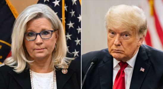 Trump Mentions ‘Jail’ For J6 Committee as Biden Considers Pardons For Fauci, Cheney, Others: Report Trump Mentions ‘Jail’ For J6 Committee as Biden Considers Pardons For Fauci, Cheney, Others: Report