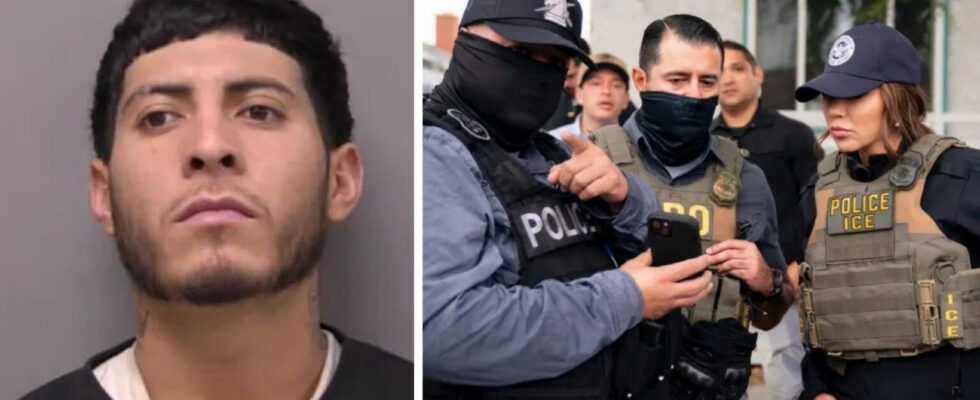 Illegal Alien Attacks ICE Agent — Courtroom Erupts…
