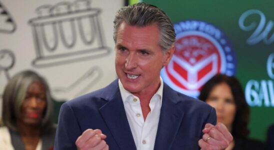 California Democratic Governor Gavin Newsom ‘Dl…