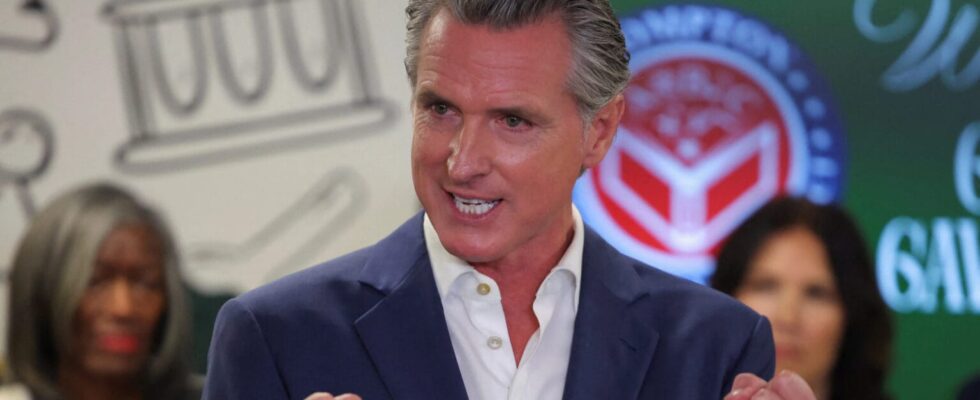 California Democratic Governor Gavin Newsom ‘Dl…